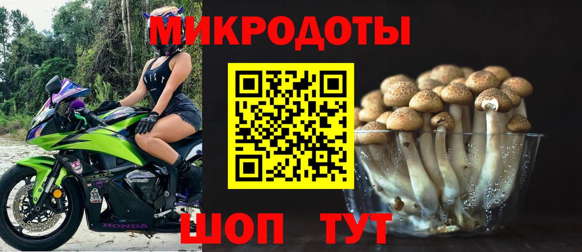 Псилоцибиновые грибы Magic Shrooms Волхов